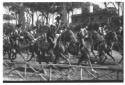 Esibizione dei Carabinieri a cavallo in Piazza di  ...