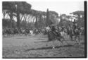 Esibizione dei Carabinieri a cavallo a Piazza di S ...