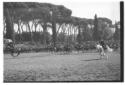 Esibizione dei Carabinieri a cavallo a Piazza di S ...