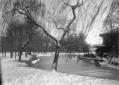 Giardini Margherita [sotto la neve]: lag ...