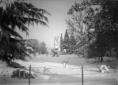 [Ravenna sotto la neve: veduta del parco ...
