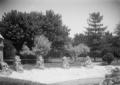 Castello Gasparini (?): parco