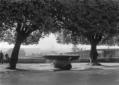 La fontana cinquencentesca di A. Lippi d ...