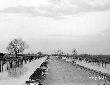 Strada Lotto 45 attraverso la zona di Piscinara da ...