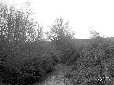 Fiume Teppia a monte Castellone