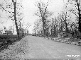 Strada di accesso a Sabaudia