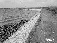 Sistemazione delle sponde del Lago di Fogliano