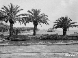 Lago di Fogliano di fronte alla Villa