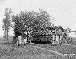 Capanna in Selva di San Donato