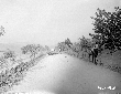 Strada Migliara 47 nella zona allagata dei Gricill ...