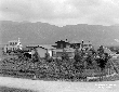 Doganella, insieme