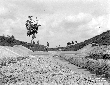 Briglia Rio Martino n. 4