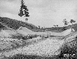Briglia Rio Martino n. 4