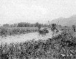 Draga Matera della Bonificazione Pontina nel fiume ...