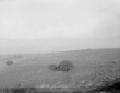 Colli presso Torrecchia Nuova (lato Cori)