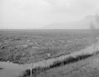 Pantani da basso in sinistra Olevola