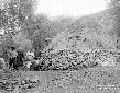 Pastori di Carpineto presso la diga del Rio Sermon ...