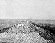 Strada Torracchia in costruzione