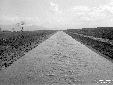Canale allacciante Astura al Ponte per la strada C ...