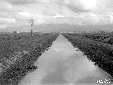 Canale Acque Medie a monte strada lotto 45