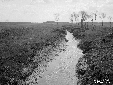 Fosso Cisterna a monte immissione nel canale Acque ...