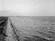 Lago di Fogliano, sponde sistemate all'estremit d ...