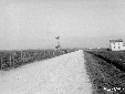 Strada Cicella-Pantano (lotto 41) da confrontare c ...