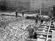Briglia n. 5 del canale Mussolini, lavori in corso ...