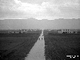 Case coloniche a Borgo Montenero sulla strada del  ...