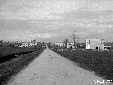 Coloniche O.N.C. a lato strada Festuca in localit ...