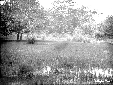 Piscina ai Tre Cancelli in selva Nettuno