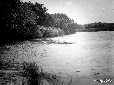 Pantano del Bottero, sponda verso Valmontorio