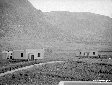 Coloniche in propriet Galamini