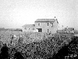 Casa colonica propriet Zampini a Caccianova