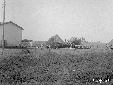 Trebbiatura grano al podere presso torre di Foce V ...