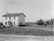 Trebbiatura grano al podere presso torre di Foce V ...