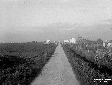Strada dell'Uccellara, appoderamenti dell'O.N.C.