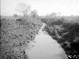 L'Astura a valle del Ponte a Torre Padiglione
