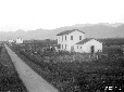 Case coloniche dell'O.N.C. a lato strada dell'Ucce ...