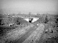 Campi coltivati nel vallone del vecchio fosso Capo ...