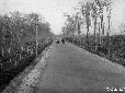 Strade Litoranee al Vallone S. Giuseppe (confronto ...