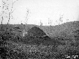 Macchia di Nettuno, carbonaie accese