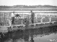 Lago Fogliano, acconci per la pesca