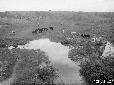 Pantano dell'Intossicata, guado