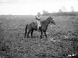 Butteri a cavallo