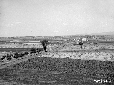 Campi a lato Via Appia visti dal campanile della c ...