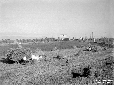 Raccolto del grano nei campi di fronte la cabina E ...
