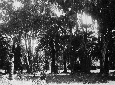 Villa di Fogliano, parco