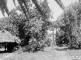 Villa di Fogliano, parco