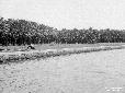 Sponde sistemate del Lago di Fogliano di fronte la ...